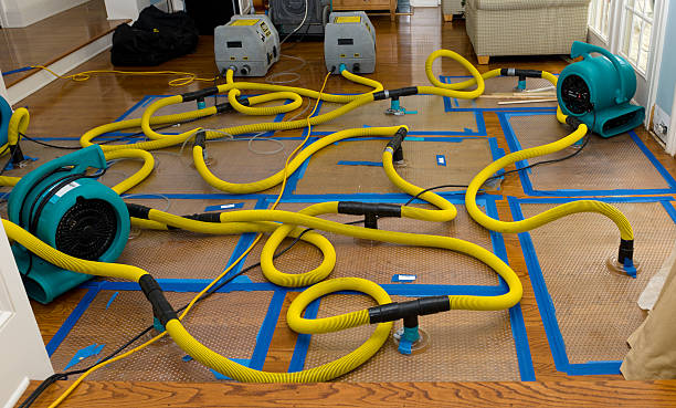 Professional Basement Flood Cleanup technician working in Farmingville, NY